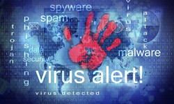 newego-large-t-1101-54376800